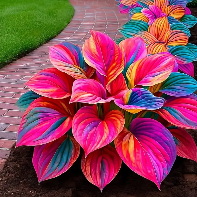 /69c63e22fa9ae40009fae09d/2026/04/14/product-img-69ddee03f707c0639afa4956.png